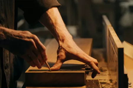 有限的食物储存